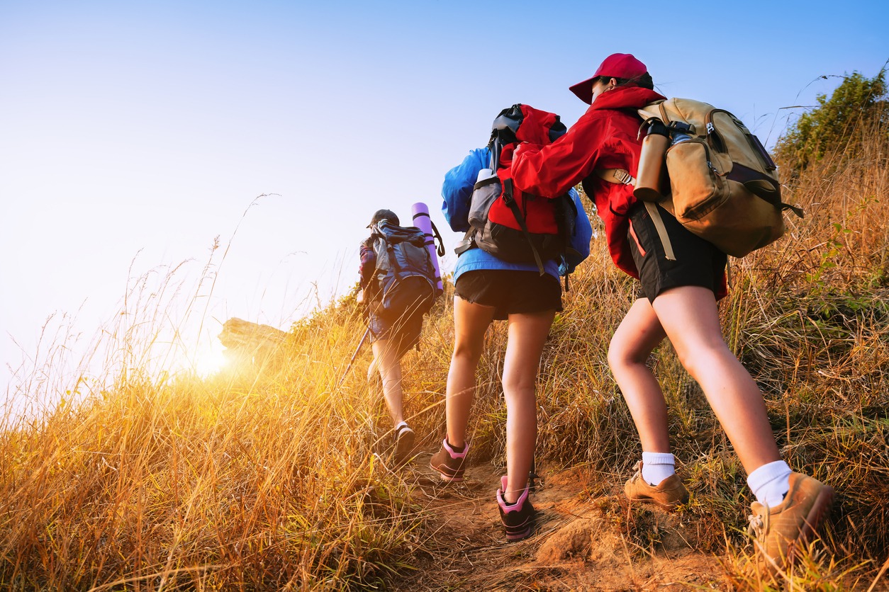 People hiking in the forest during summer.