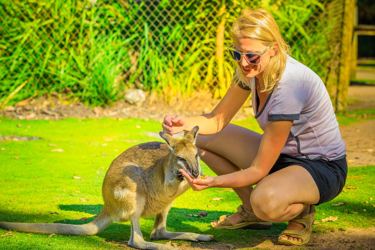 Woman freeding kangaroo